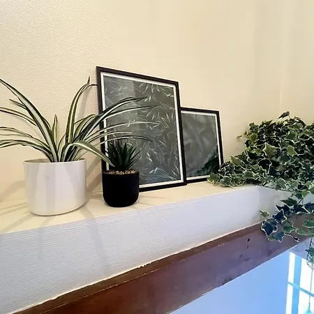 Jungle Haven - *