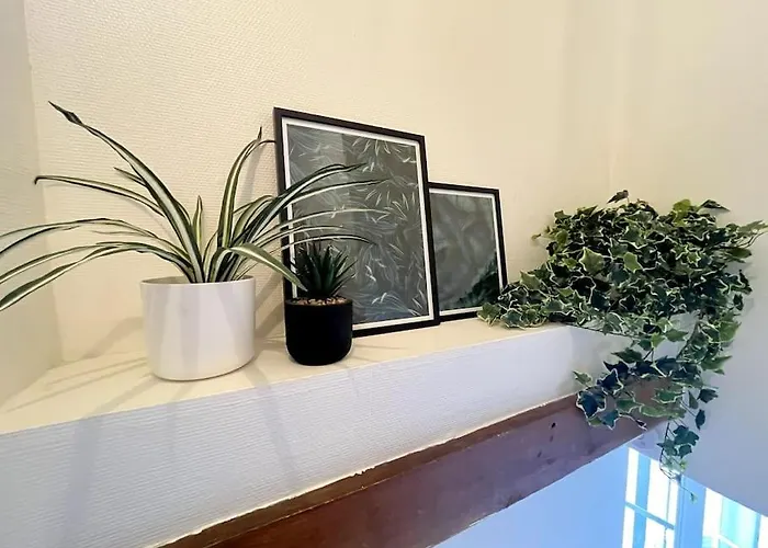 Jungle Haven - *