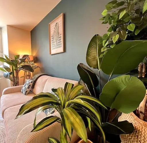 Apartmán Jungle Haven -